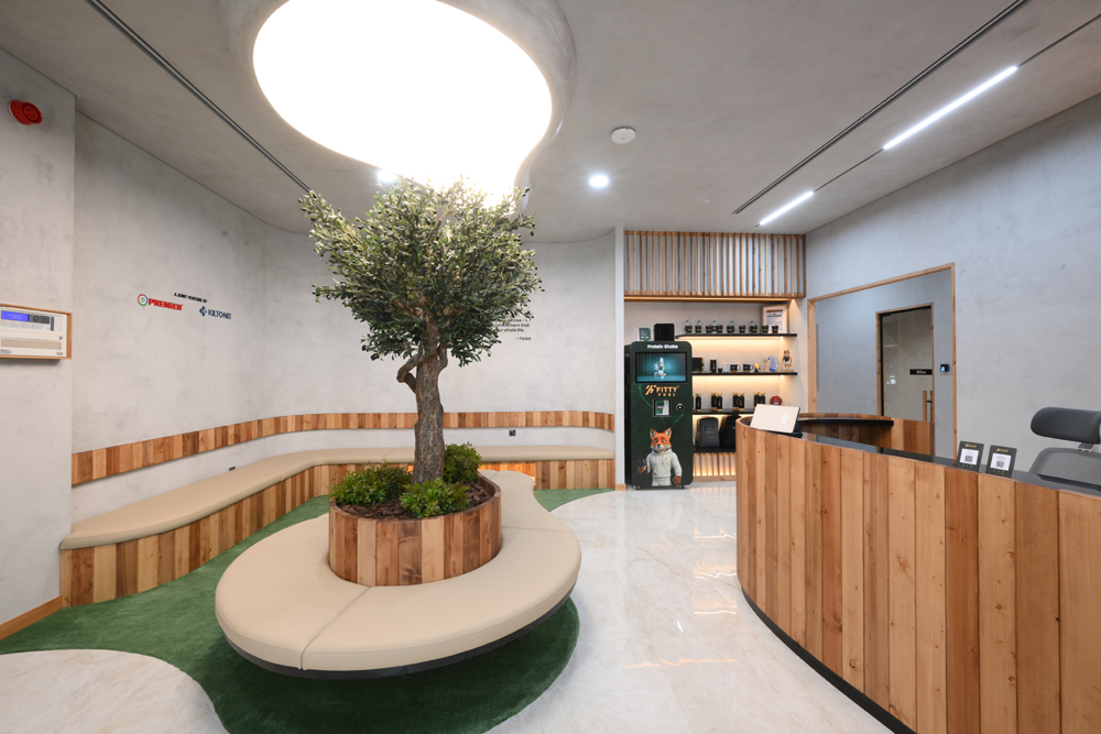 Fitty lounge seating around an olive tree